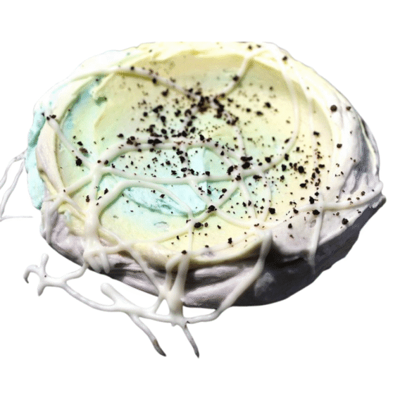 Moonbeam Ice Cream Cookie Recipe