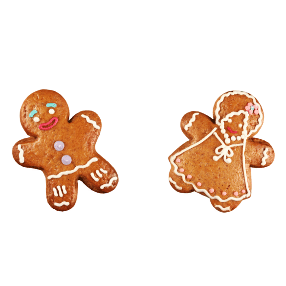 Copycat Trader Joe's Gingerbread Cookies Recipe