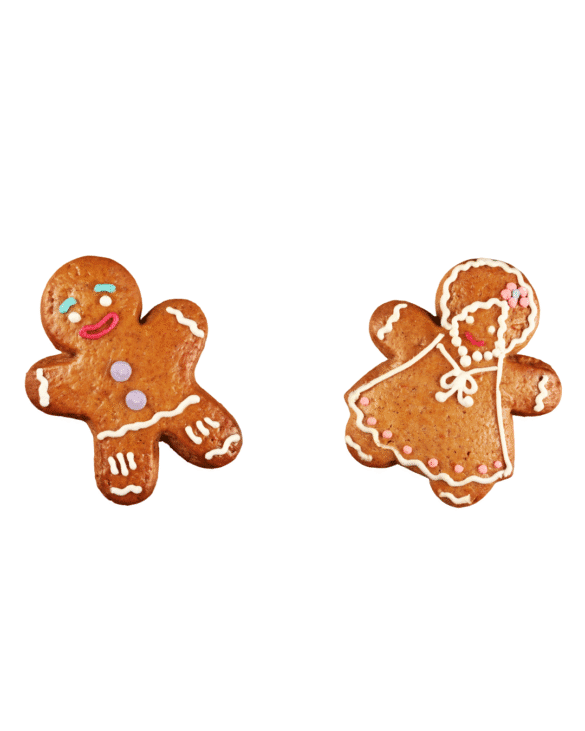 Copycat Trader Joe's Gingerbread Cookies Recipe
